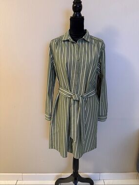 Time and Tru Striped shirt dress